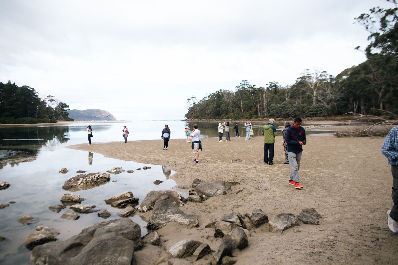 An Active Escape: Hiking, Beach Frolics, and Nature Walks on our Bruny Island Tour