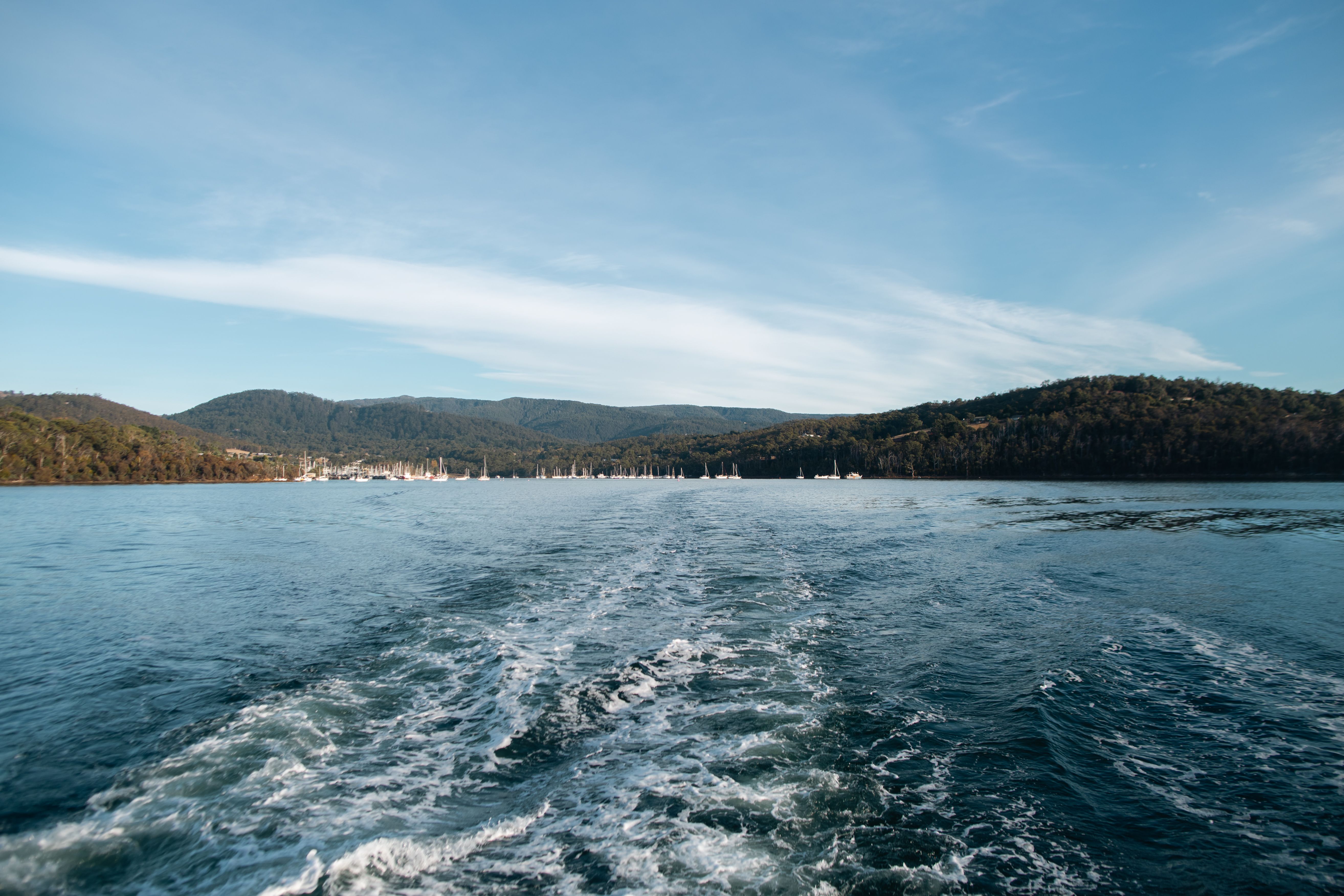 Exploring Tasmania from the Sea: A Guide for Cruise Ship Passengers