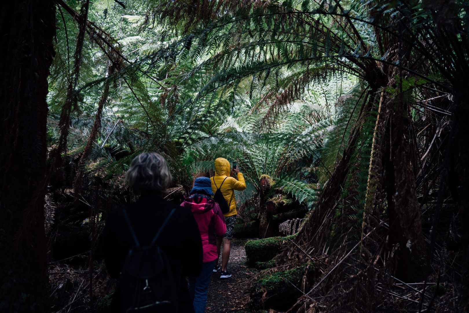 Bruny Island