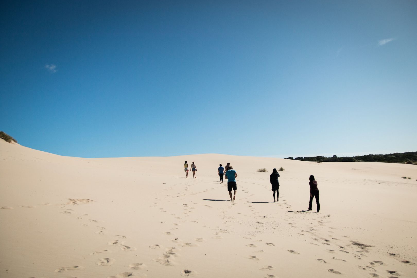 Tour Guides in Action