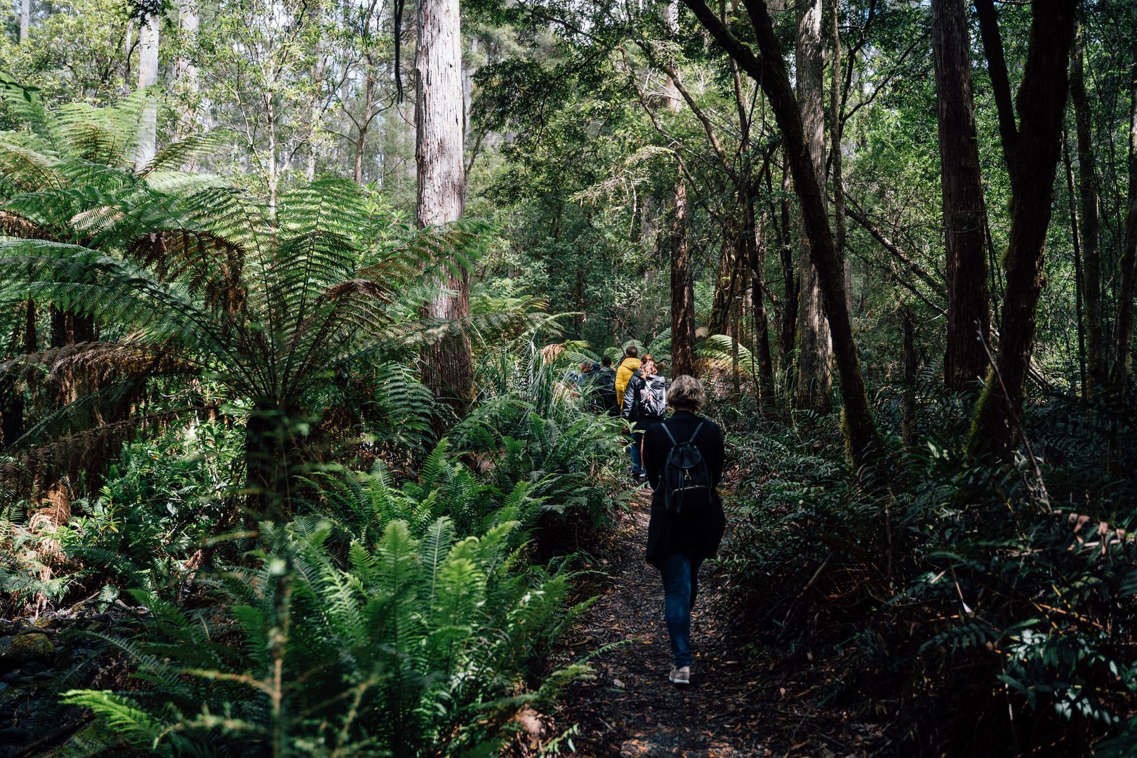 Hiking Experiences