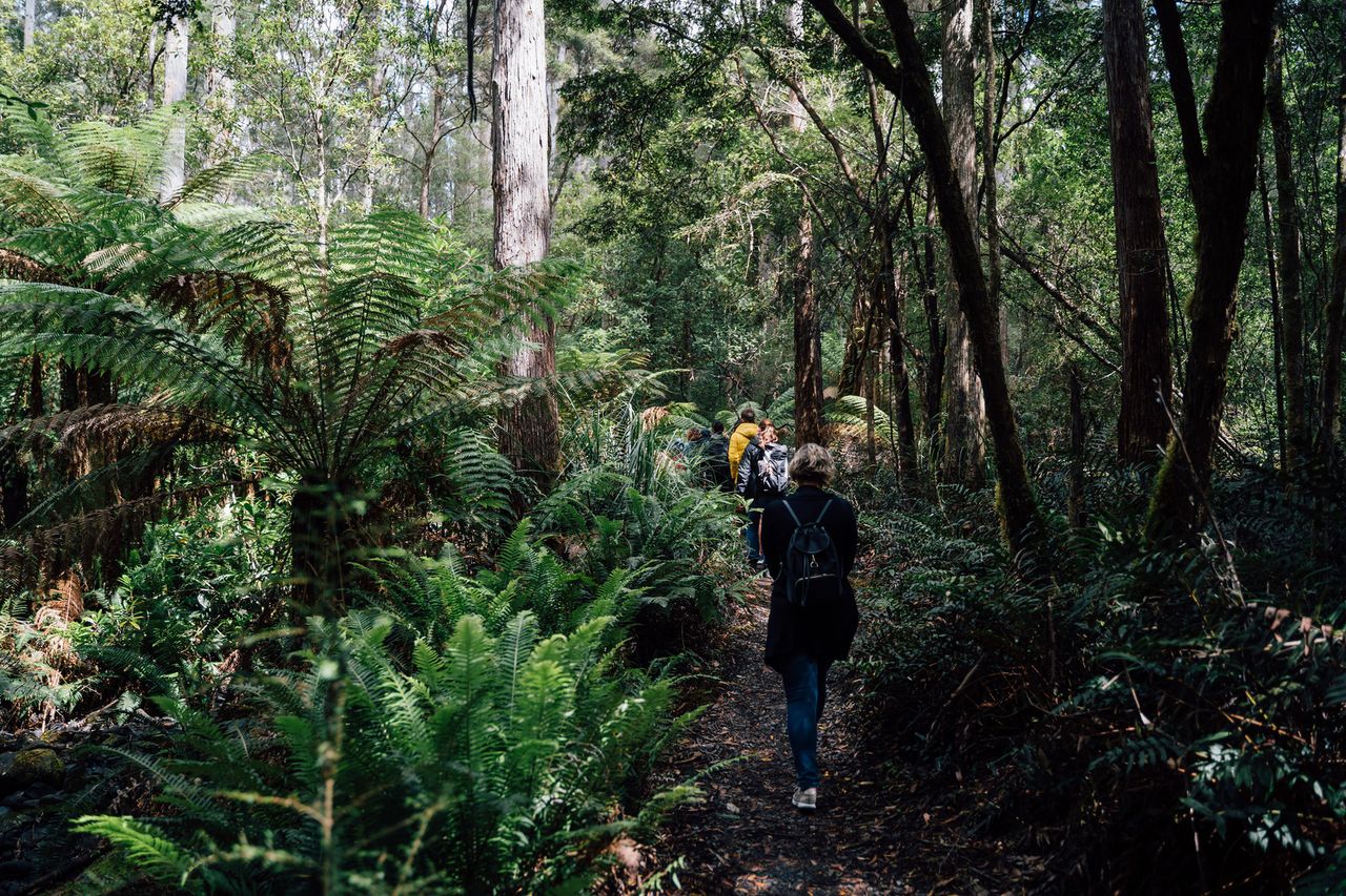 Private Tour of Hobart and Surrounds