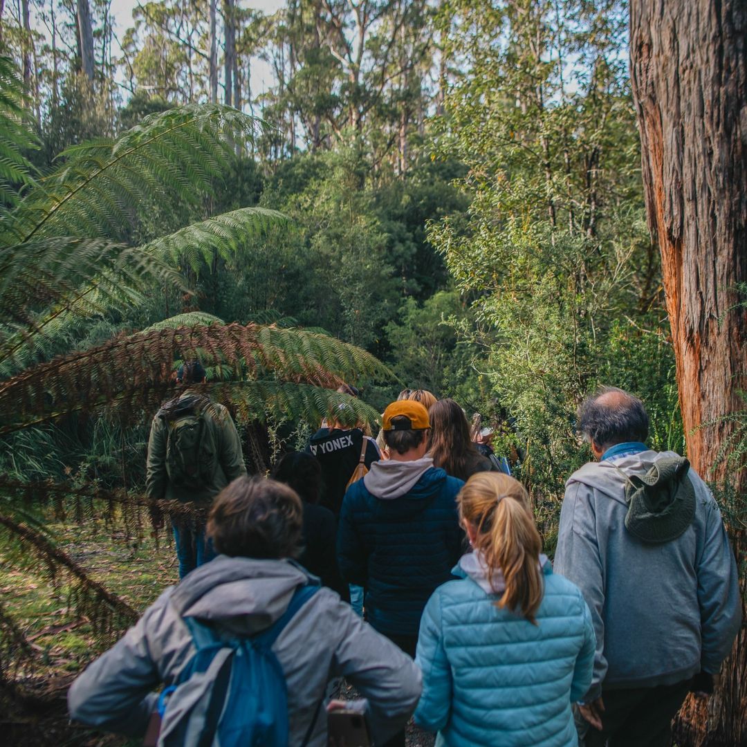 Instagram Post - @tassietours_tasmania