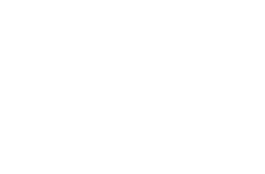 Tassie Tours Logo