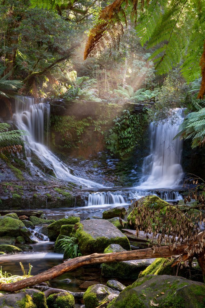 Mount Field and the Derwent Tasting Trail