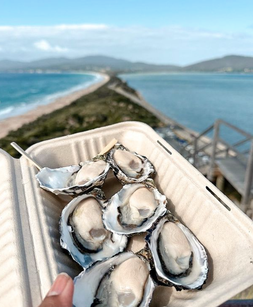 Blue Lagoon Oysters