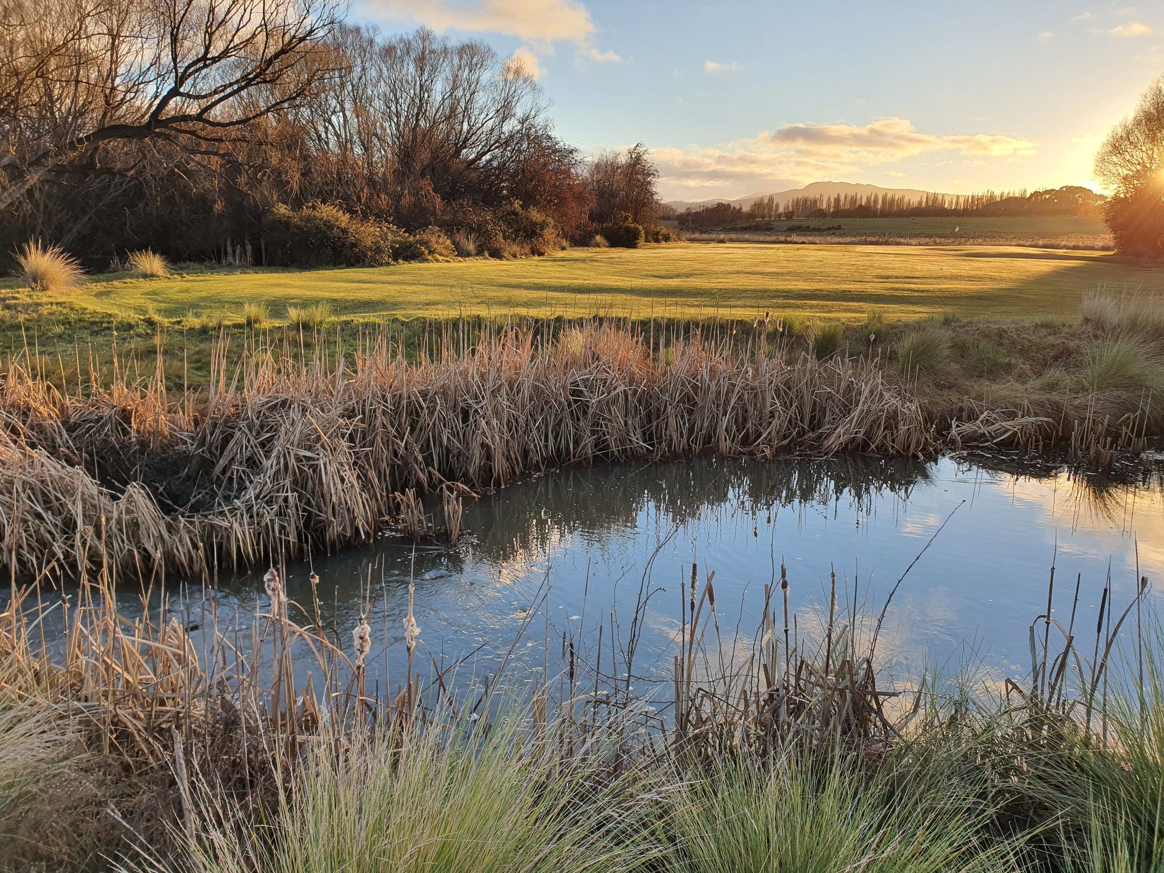 Wetlands beside a Tasmanian golf course at sunrise