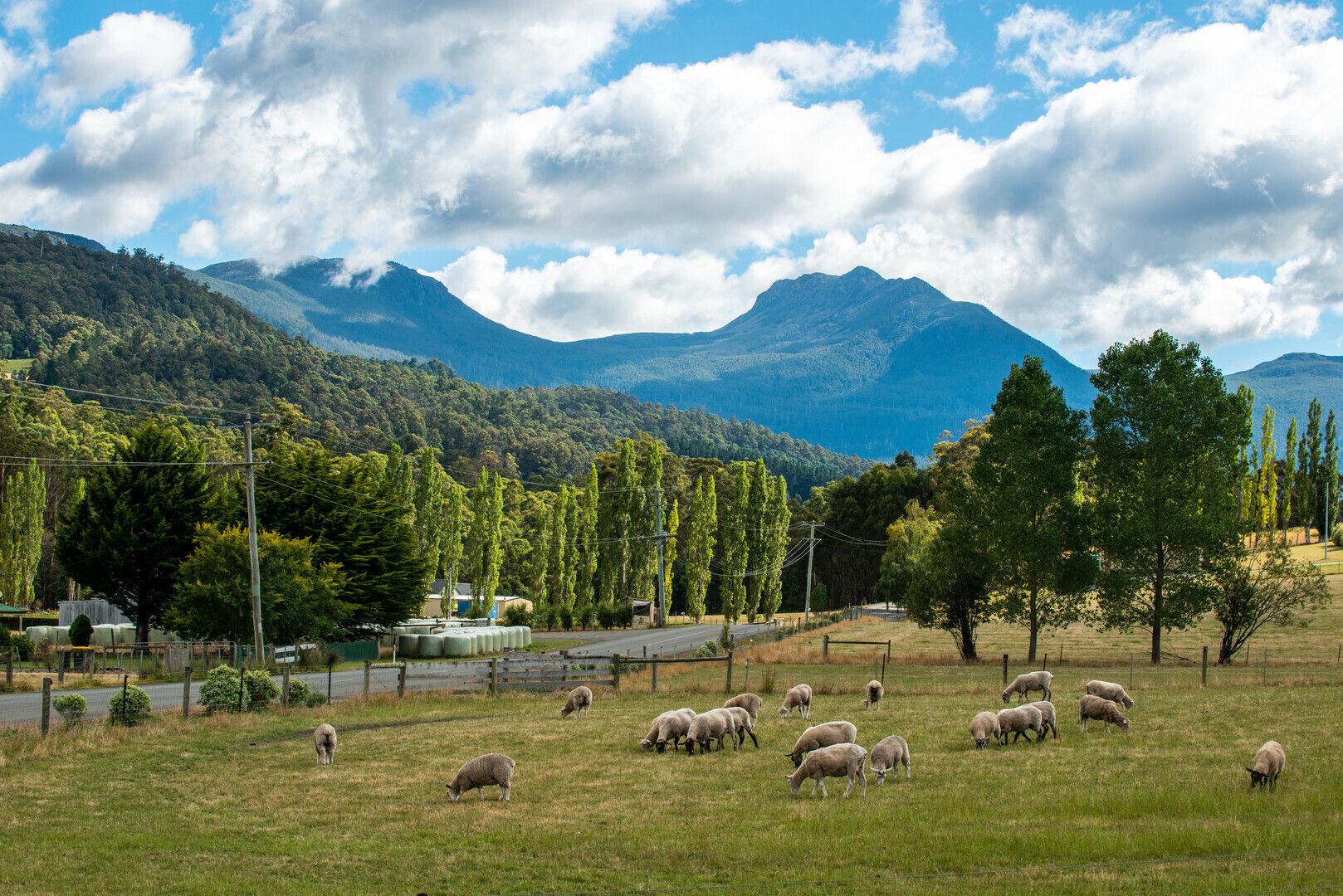 Huonville Coffee and Scenic Drive