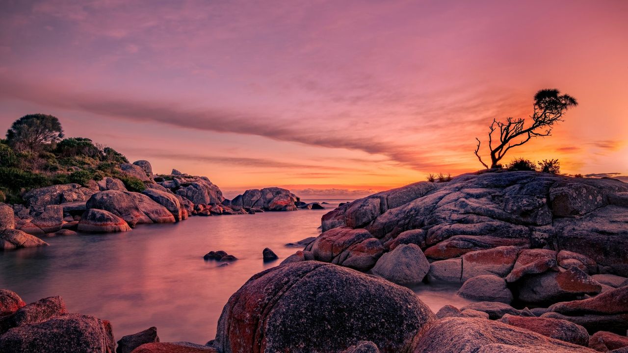 Seasonal Splendours: What to See and Do in Tasmania All Year Round