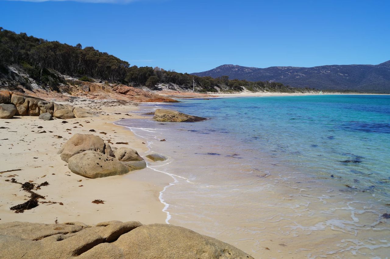A Summer of Tassie Tours: The Best Places to Explore in Tasmania