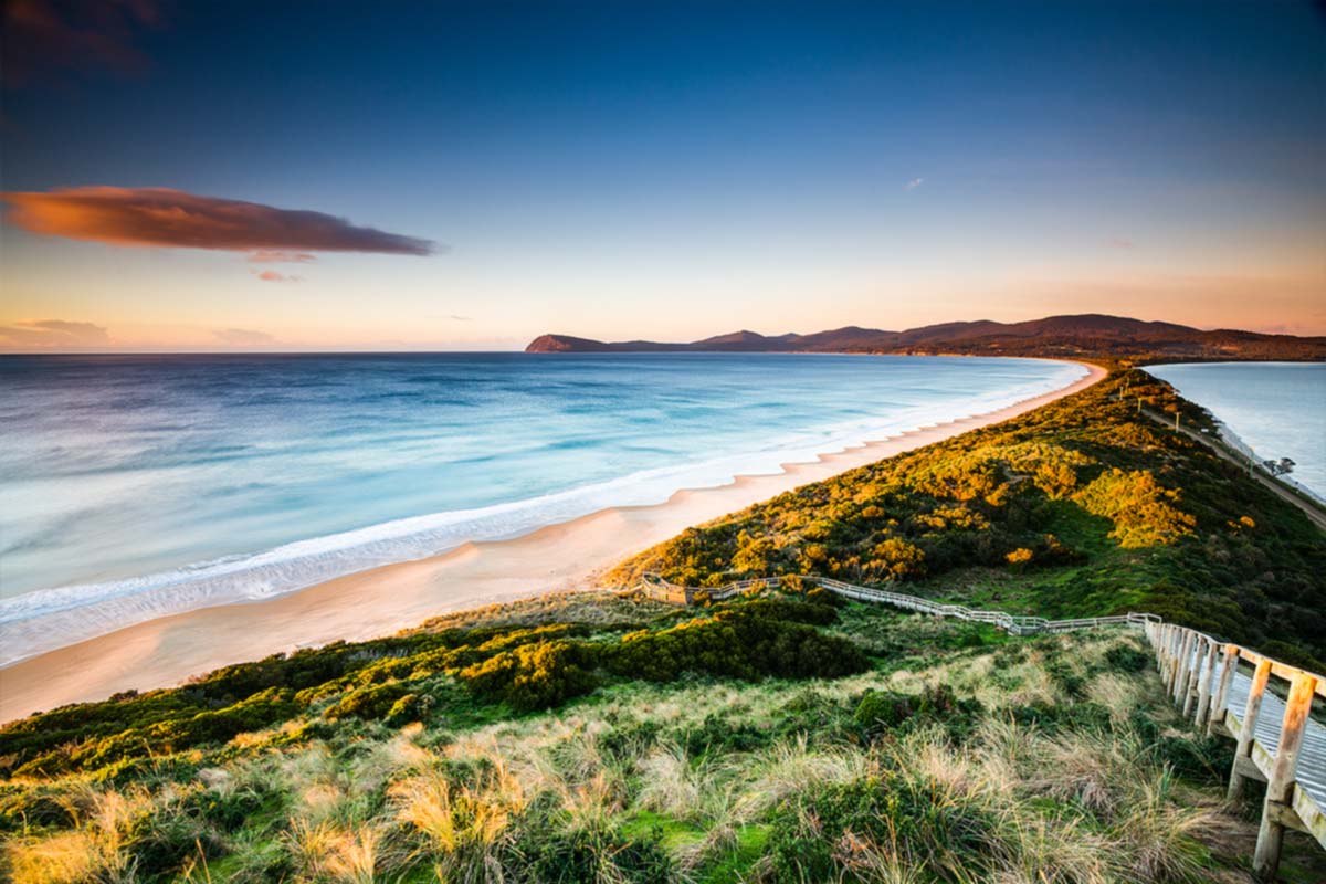 Adventure in Bruny Island Tour from Hobart