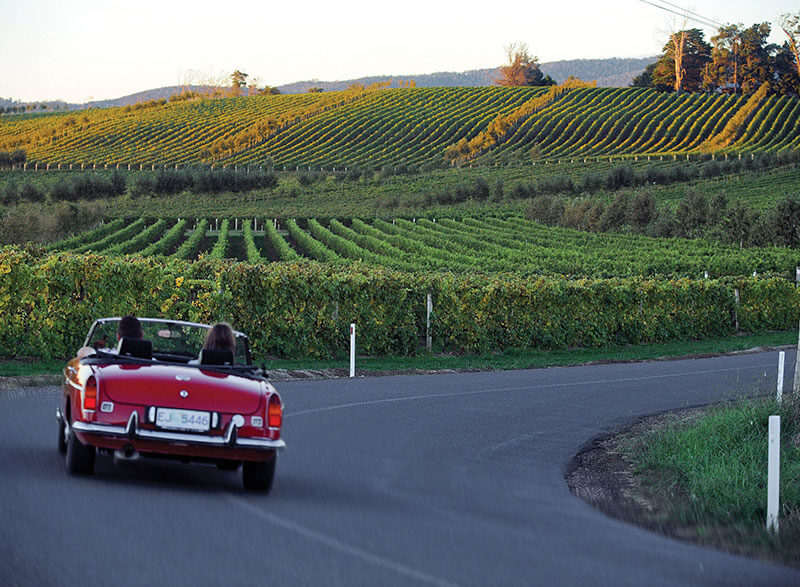 The stunning Tamar Valley Wine Route
