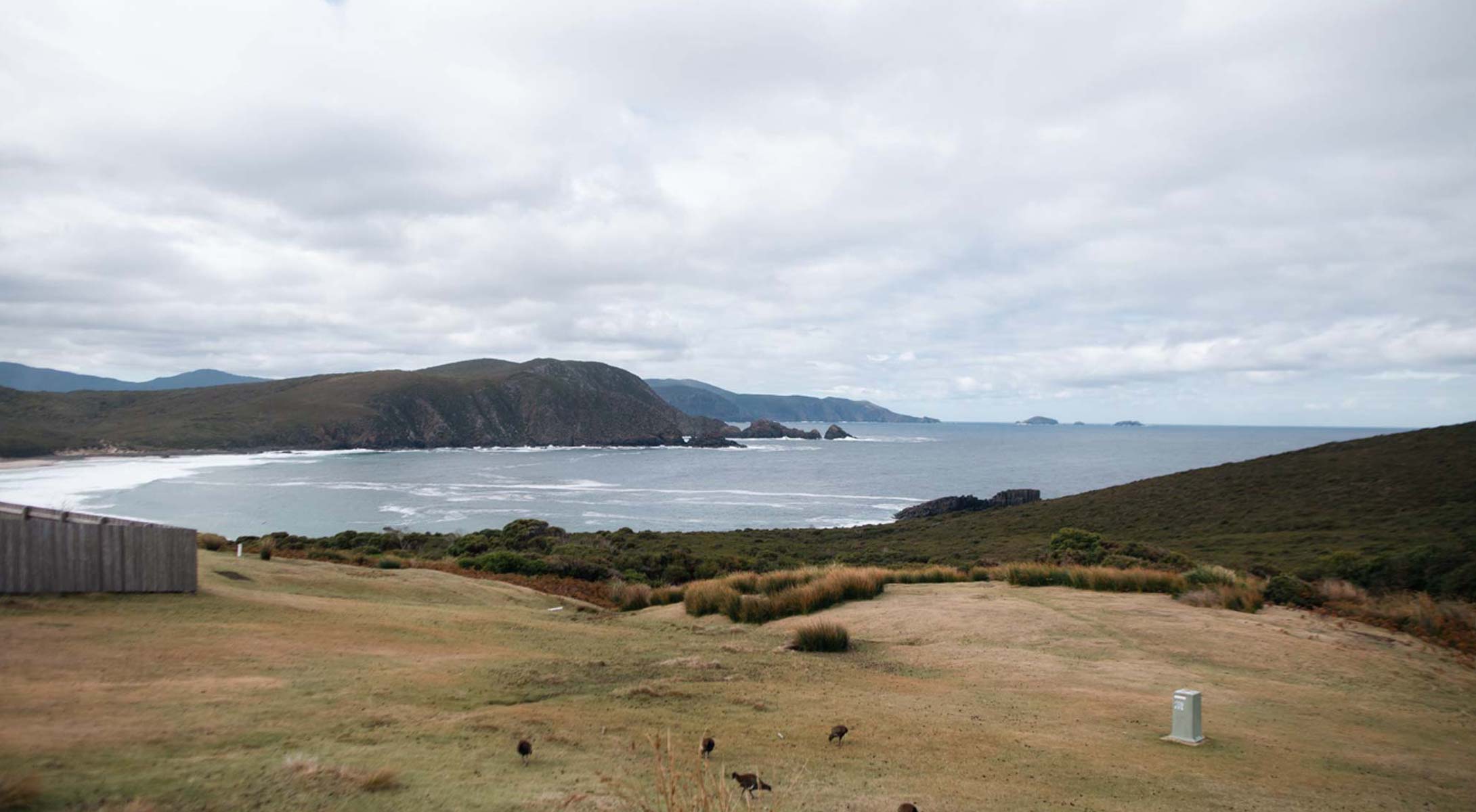 Crafting Your Dream Tasmanian Adventure with Custom Holiday Packages and Tours.